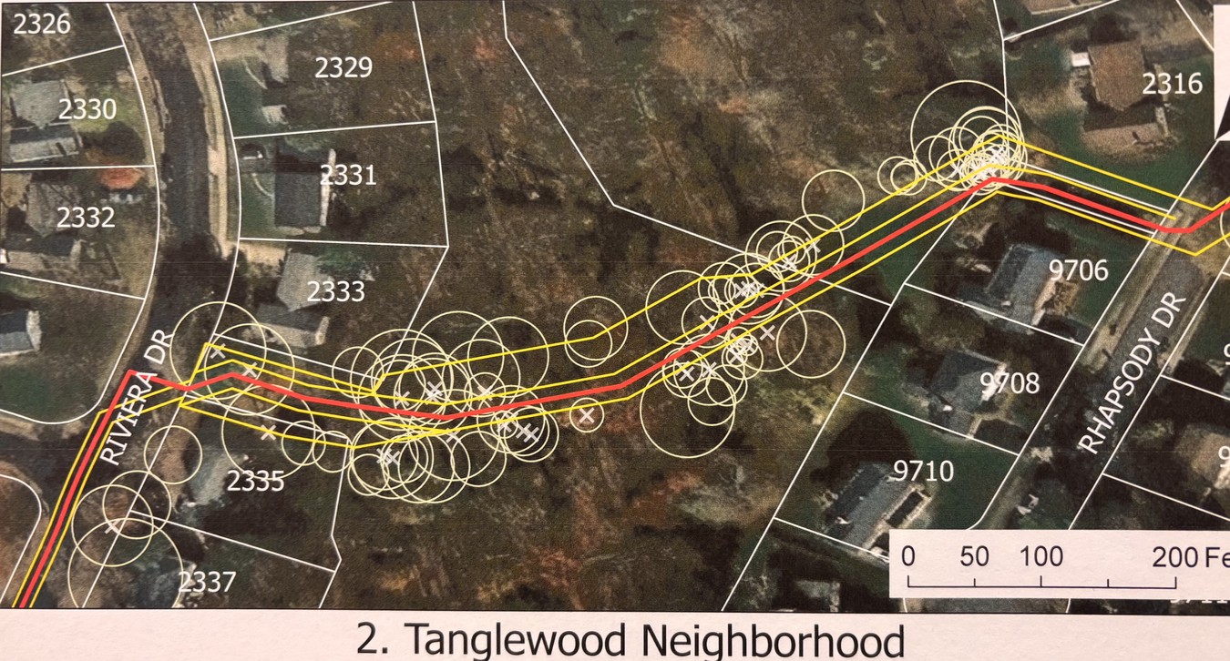 Alignment and tree impact in park and adjacent areas Alignment and tree impact in park and adjacent areas